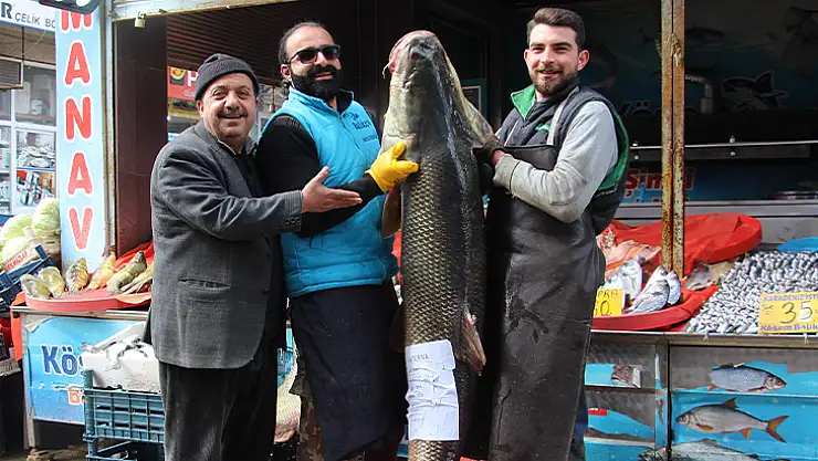 Sezonun son dev turna balığı yakalandı