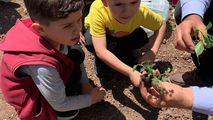 Tunceli'de anaokulu öğrencileri hobi bahçesi oluşturdu