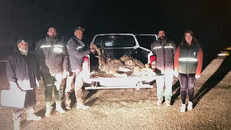 Tunceli'de yaban keçisi avlayan 2 kişiye 126 bin lira ceza