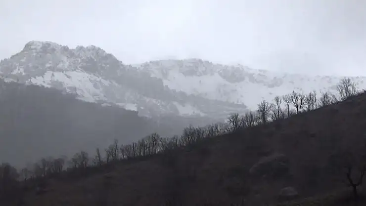 Tunceli'de yağışlar sürüyor