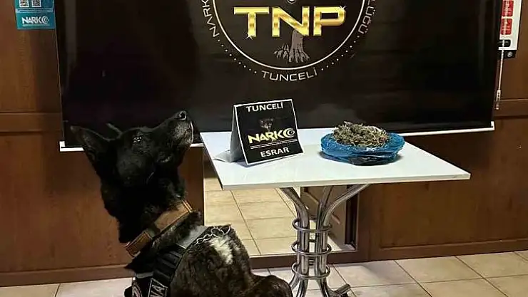 Tunceli'de zehir tacirleri, 'Fırtına'dan kaçamadı