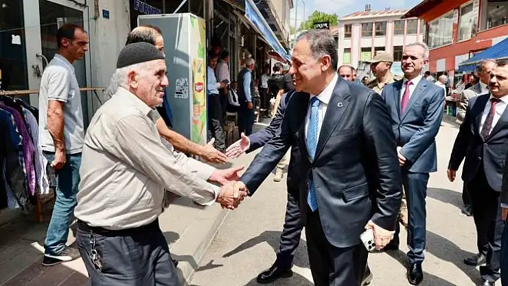 Vali Usta, Solhan'da incelemelerde bulundu