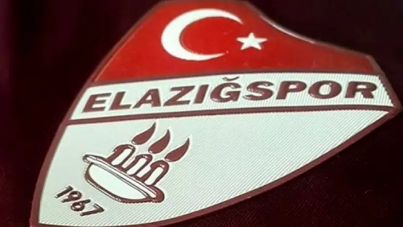 Elazığspor lig'de kalmayı başardı