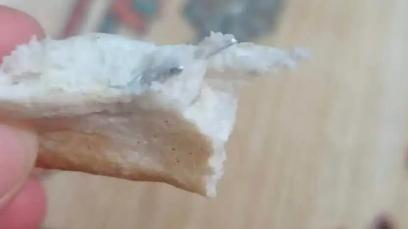 Elazığ'da ekmeğin içinden vida çıktı: Vatandaş şaşkına döndü