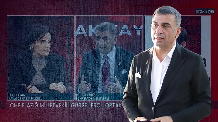 Gürsel Erol: 'Kimse kimseyi elinden tutup bir yere götürmez!'